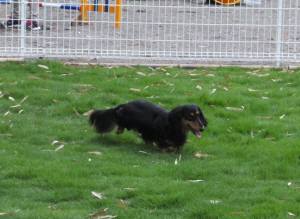 2014_06306-18ティップくん