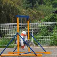 2014_06036-2まどかちゃん