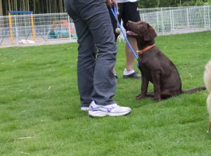 2014_06306-18ララちゃん