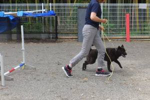 2014_06276-15さくらちゃん