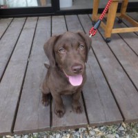 2014_06046-3ララちゃん