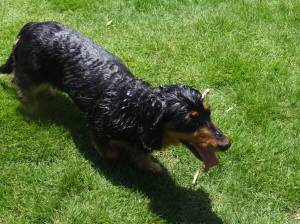 2014_06296-16ゆずちゃん２