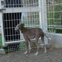 2014_06016-1とむくん