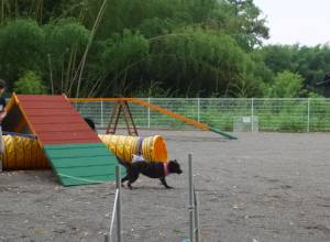 2014_06306-18さくらちゃん