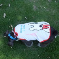 2014_06016-1むっく１