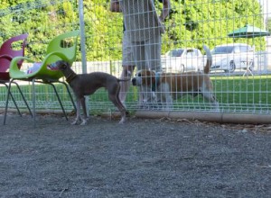 2014_06016-1とむむさし