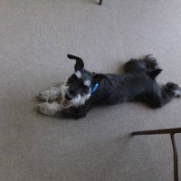 2014_06016-1むっく３