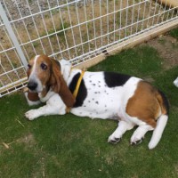 2014_06046-3マロンちゃん