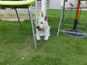 2014_06256-14ももちゃん