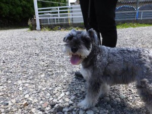 2014_06146-7るなちゃん