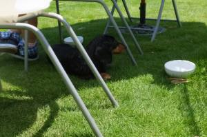 2014_06296-16ゆずちゃん