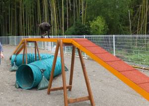 2014_06256-14さくらちゃん１