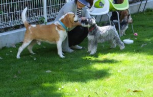 2014_06146-7ルナムサシくん