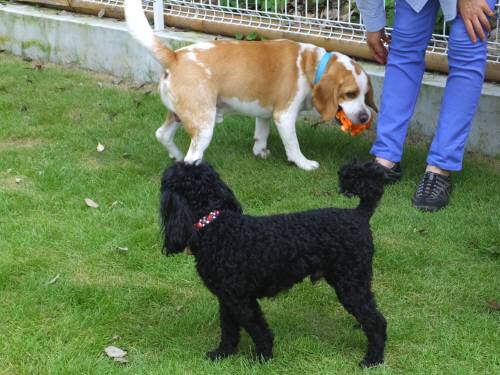 2014_07267-26ウルームサシ