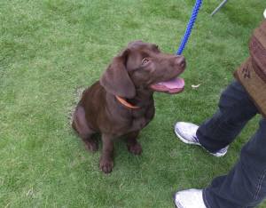 2014_07147-16ララちゃん