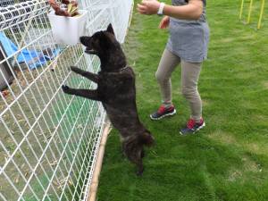 2014_07067-5さくらちゃん