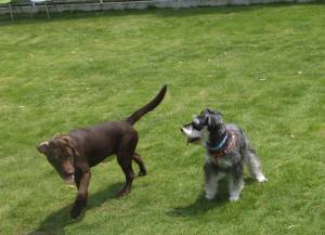 2014_07097-12ララちゃんまるちゃん