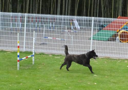 2014_07297-29さくら2