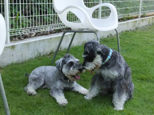 2014_07257-25ぎんがまるちゃん2