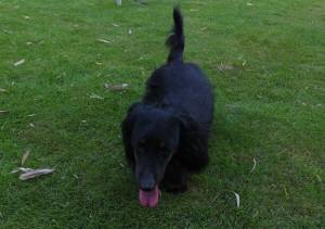 2014_07287-28ラウル