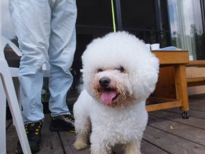 2014_07217-21アムルちゃん