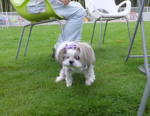 2014_07217-21蘭ちゃん