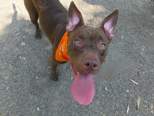 2014_07277-27サラちゃん