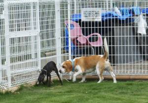 2014_07067-5むさしくん