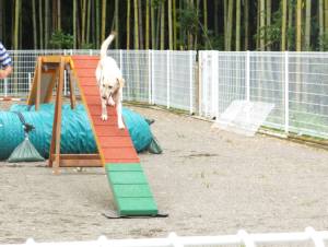 2014_07097-12なっちゃん2