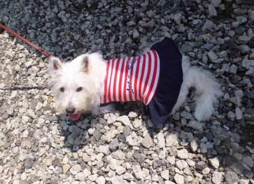 2014_07227-22ももちゃん2