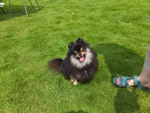 2014_07237-23マリアちゃん