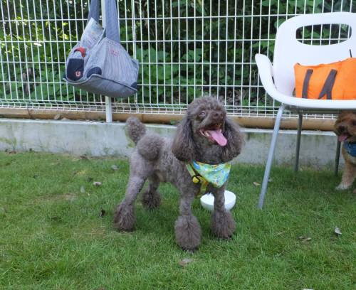 2014_07277-27スティッチくん