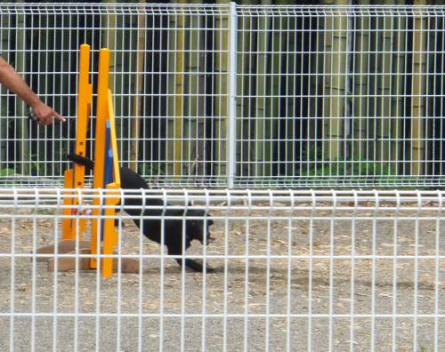 2014_07167-18はるちゃん