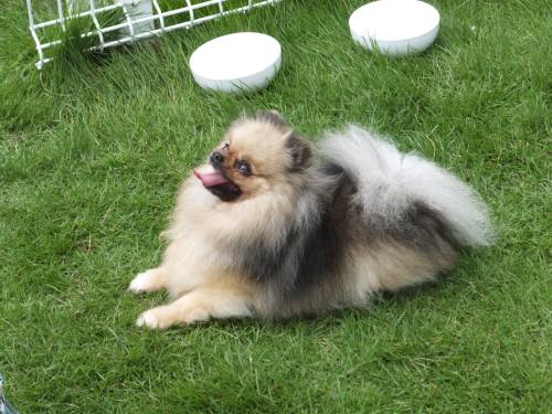 2014_07207-20みらいちゃん２