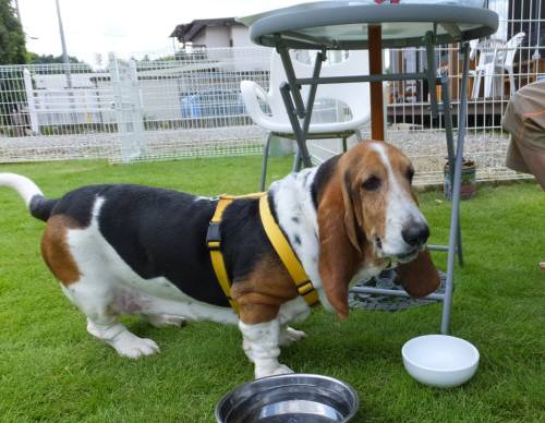 2014_07287-28マロンちゃん