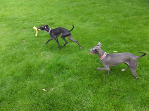 2014_07207-20モネマーブル