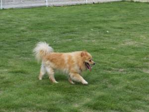 2014_07087-11ラッキー君