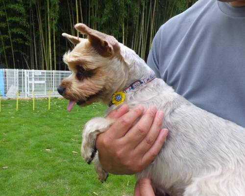 2014_07137-15しんじ君