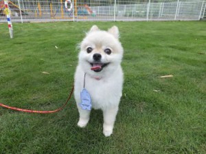 2014_07057-4ラムちゃん