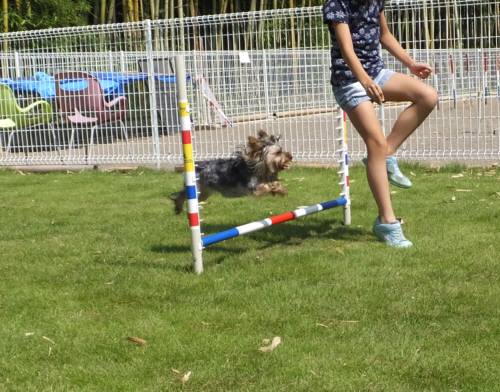 2014_07307-30あずきちゃん