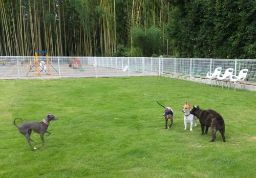 2014_07277-27三対一