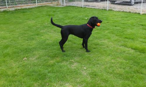 2014_07137-15ふうちゃん