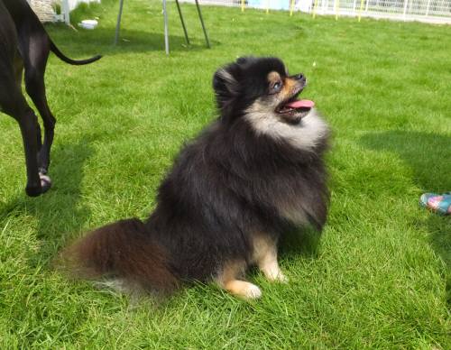 2014_07237-23まりあちゃん2