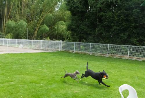 2014_07207-20欲張りハルちゃん