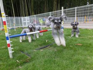 2014_07147-16マーヤ