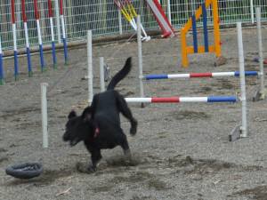 2014_07237-23ハルちゃん2