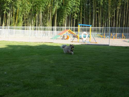 2014_07257-25ポンちゃん