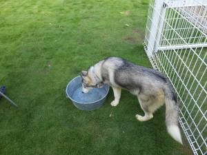 2014_07087-11ジュウザくん