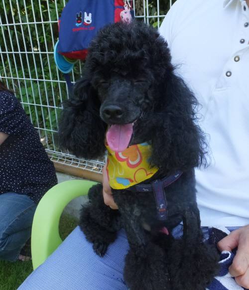 2014_07277-27ロジャー君