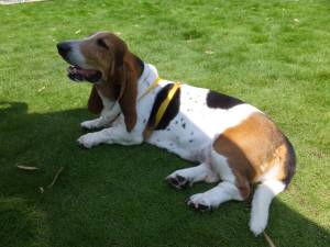 2014_07017-1マロンちゃん